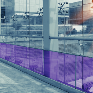 FOLIE DÉCORATIVA COLORATA TRANSPARENTA PLUM C